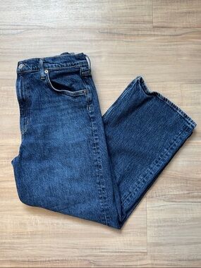 AGOLDE REN WIDE-LEG JEAN